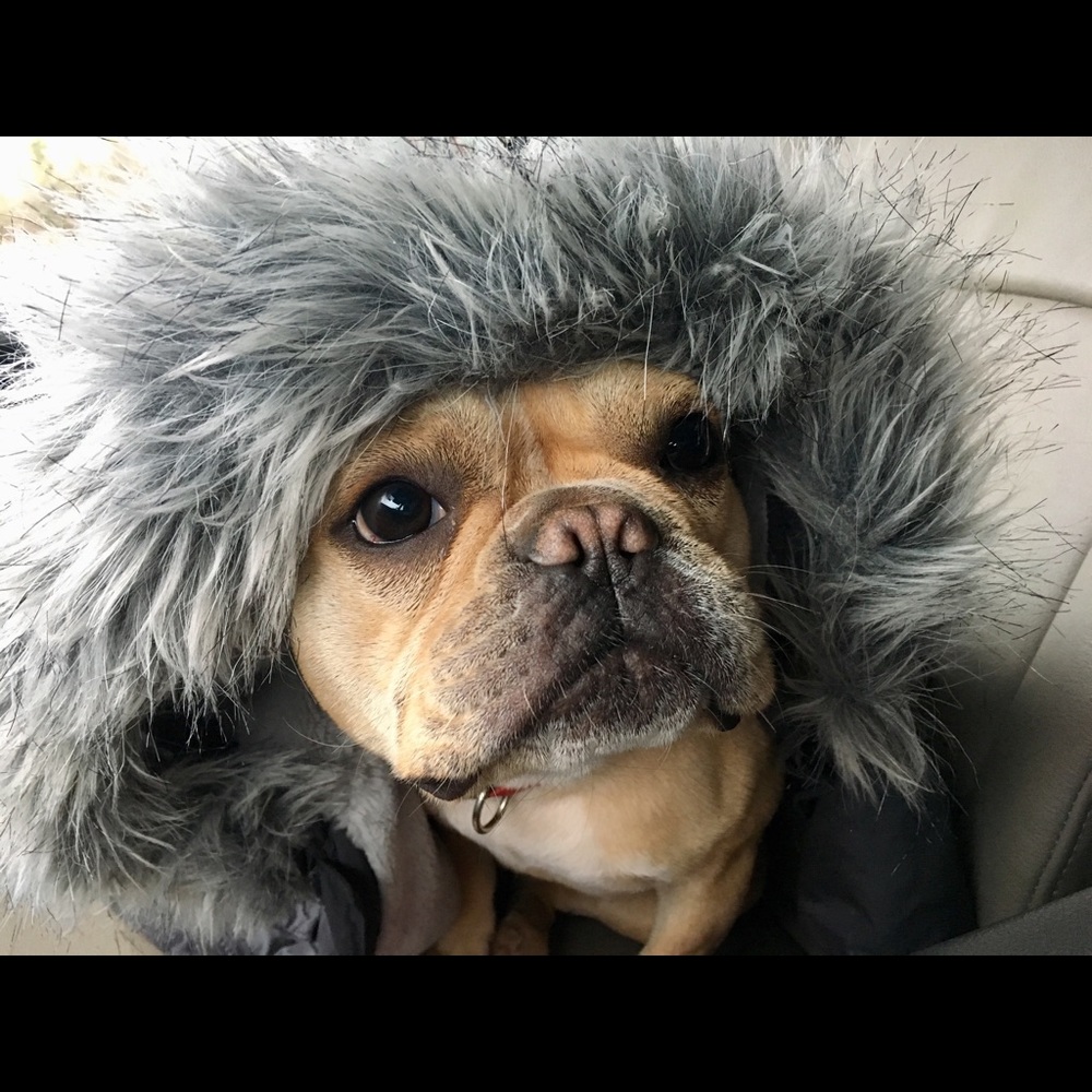 Meet your Posher, Jacquelyn